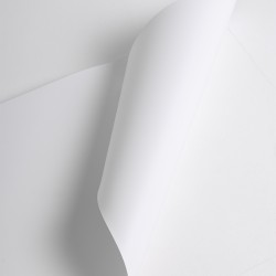 POPNC400 - Opaque White Film Gloss