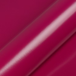 TB9221S - Gladiolus Pink Satin
