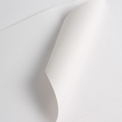CANVAS4